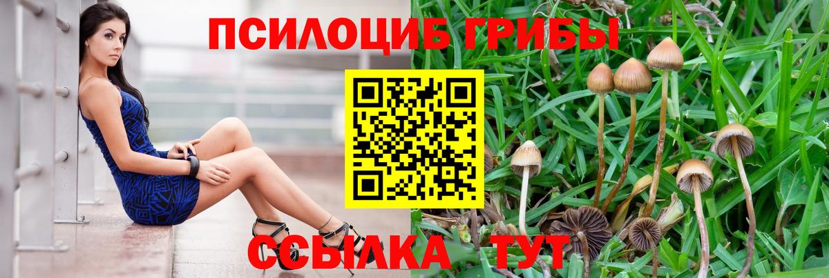 наркошоп  Вход с VPN  Якутск  Галлюциногенные грибы Magic Shrooms 
