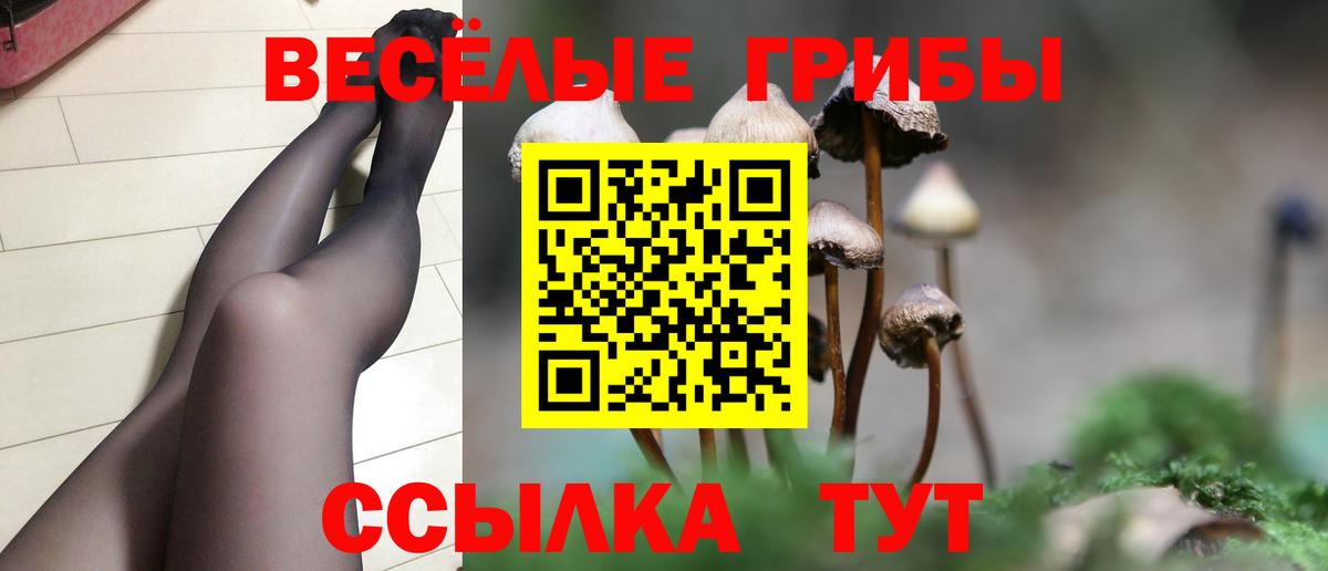 Псилоцибиновые грибы Psilocybine cubensis Якутск